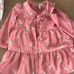 Janie and Jack Pink Ruffle Dog Dress